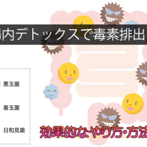 腸内デトックスで体の毒素を出す方法・やり方！重金属・食品添加物を排出【サプリ/食べ物】